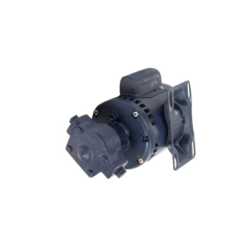 Pump And Motor Assembly, 1/3Hp, 115/230V, 50/60Hz