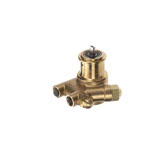 Pump Brass Rotary Vane 100 Gph